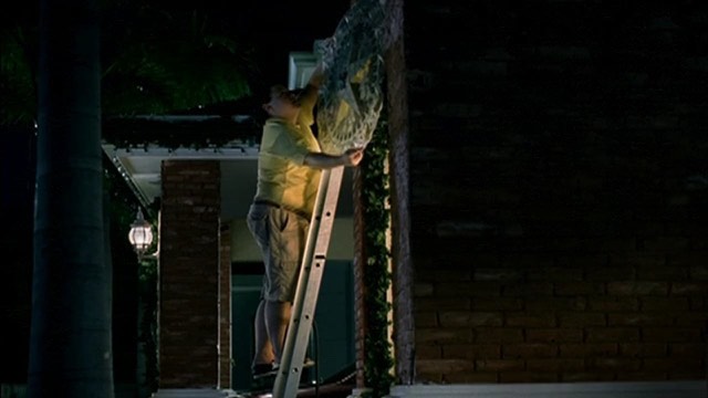 Still from Max's Dancing Lights