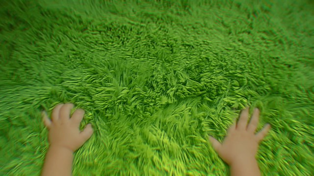 Still from Jungle