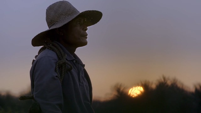 Still from Nestle Kasambuhay